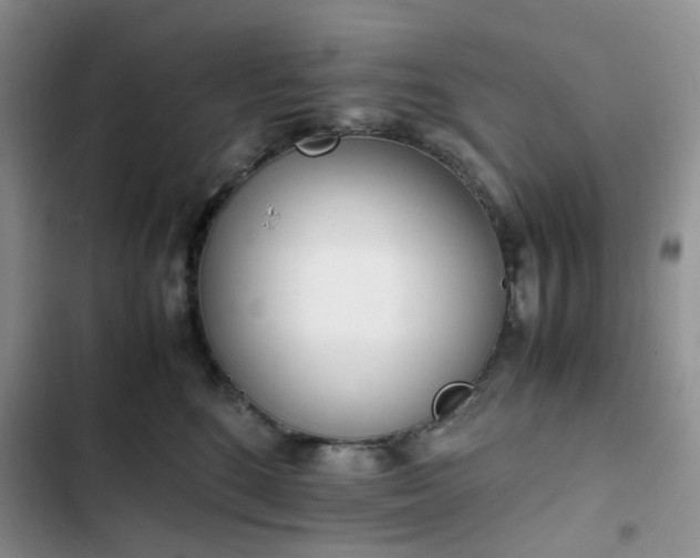 X0000102760520200808251031