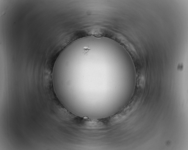 X0000102760521200808251031