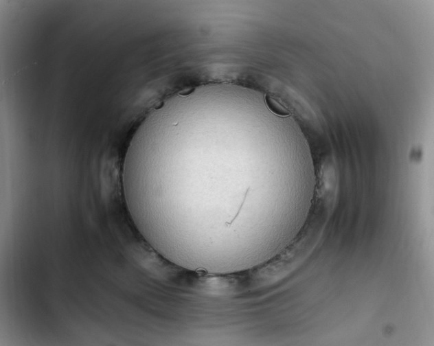 X0000102760522200808251031