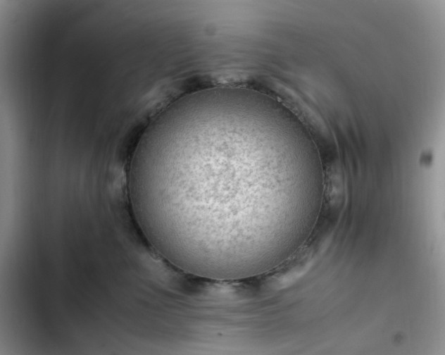 X0000102760523200808251031