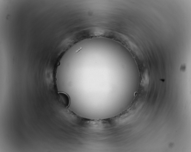 X0000102760524200808251031