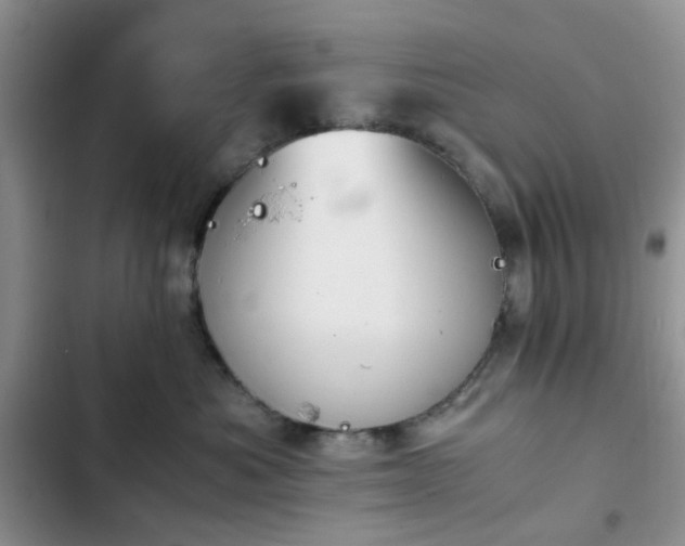 X0000102760525200808251031