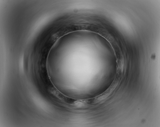 X0000102760526200808251031