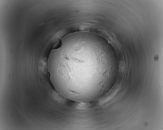 X0000102760527200808251031