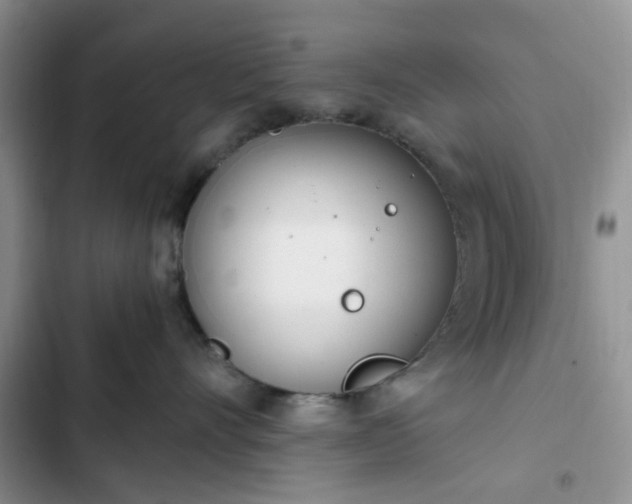 X0000102760528200808251031