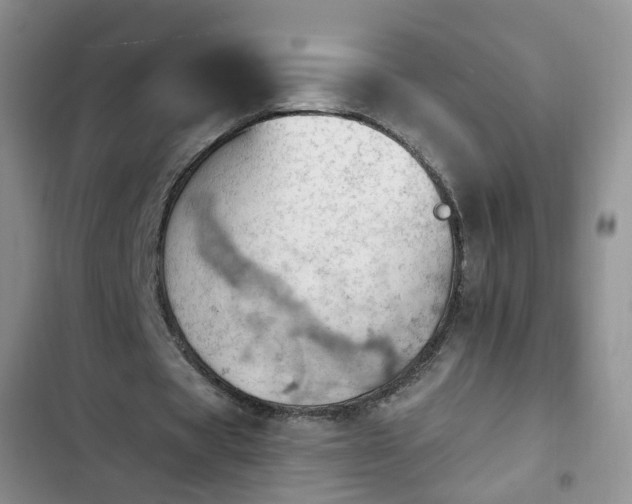 X0000102760529200808251030