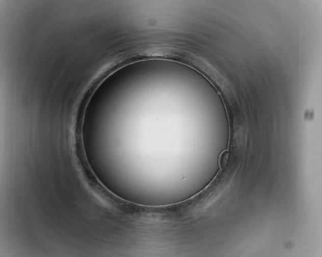 X0000102760530200808251030