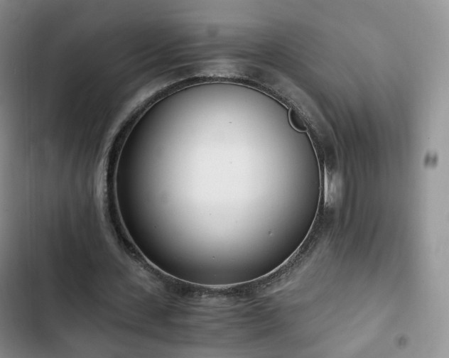 X0000102760531200808251030