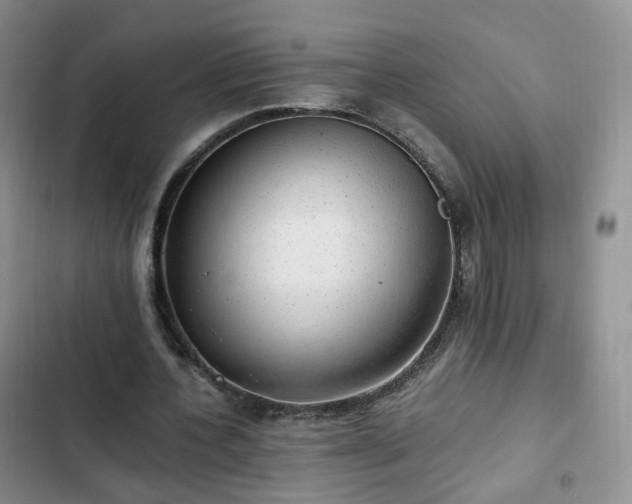 X0000102760532200808251030