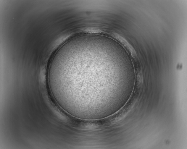 X0000102760533200808251030