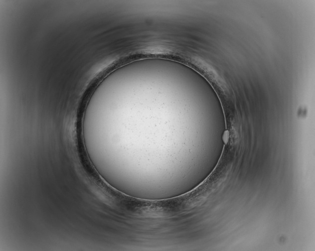 X0000102760535200808251030