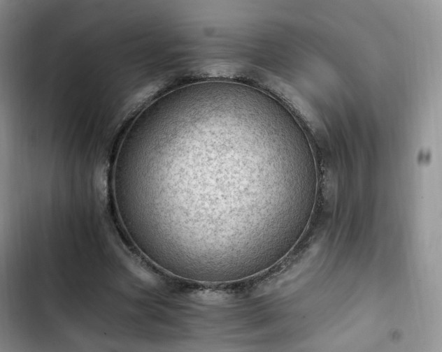 X0000102760537200808251030