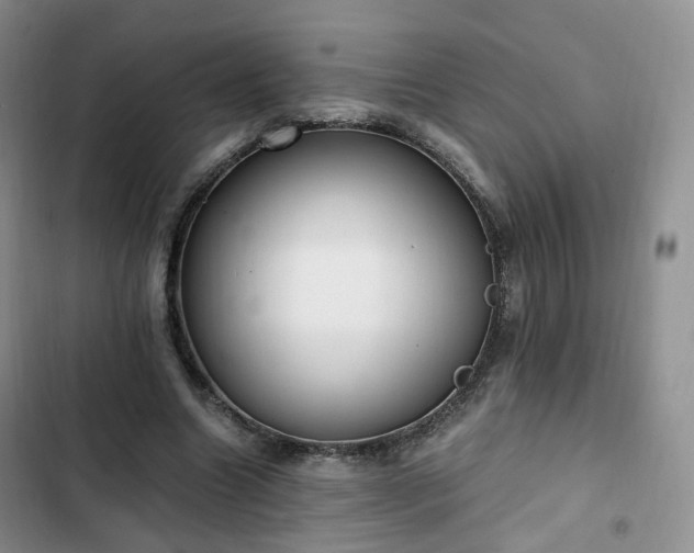 X0000102760538200808251030