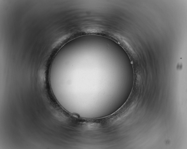 X0000102760539200808251030