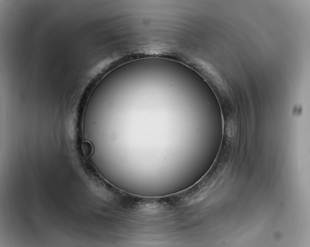 X0000102760540200808251030