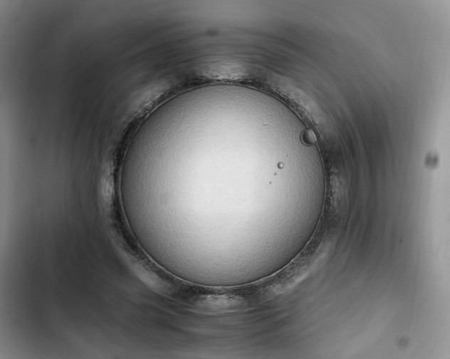 X0000102760541200808251030