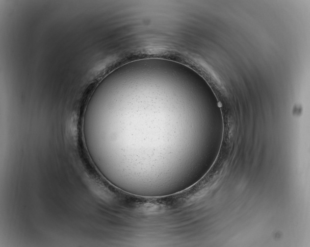 X0000102760542200808251030