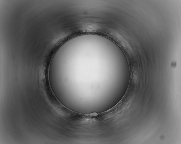 X0000102760543200808251030