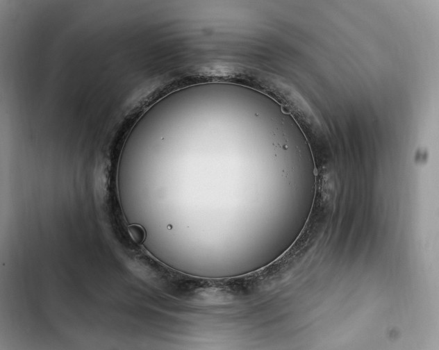 X0000102760544200808251030