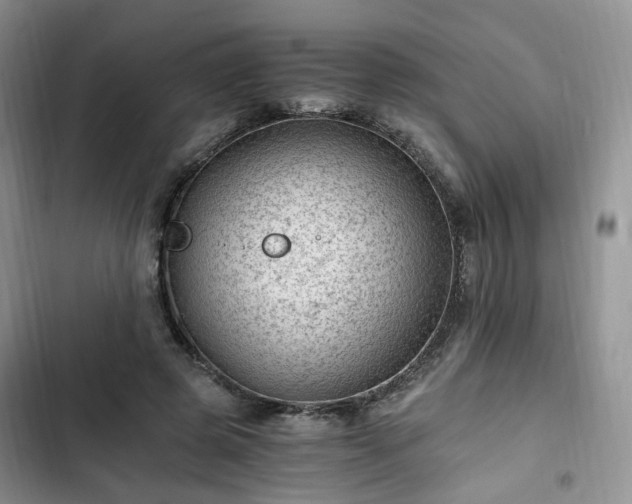 X0000102760545200808251030