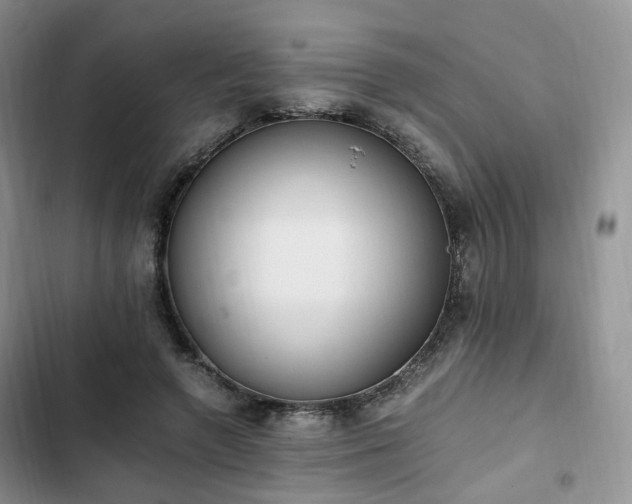 X0000102760546200808251030