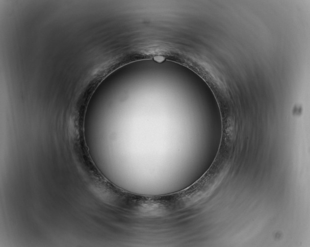 X0000102760547200808251030