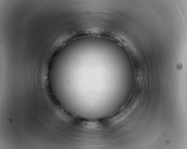 X0000102760548200808251031