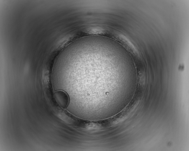 X0000102760549200808251031