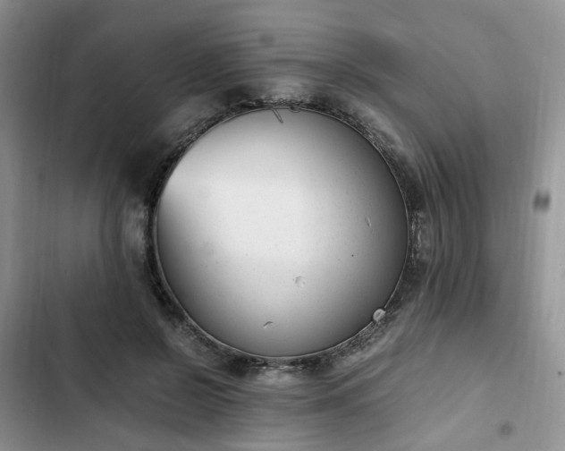 X0000102760550200808251031