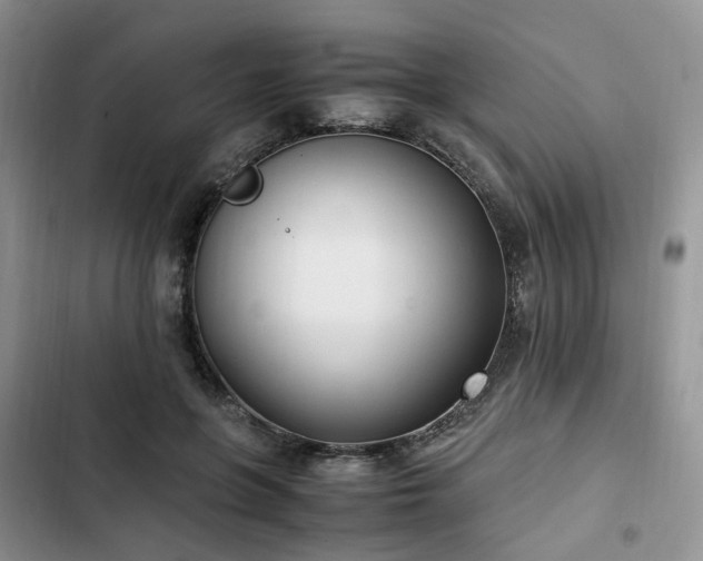 X0000102760551200808251031