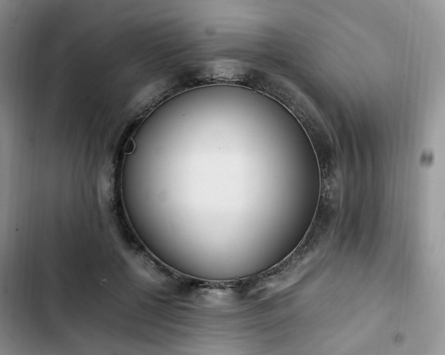 X0000102760552200808251031