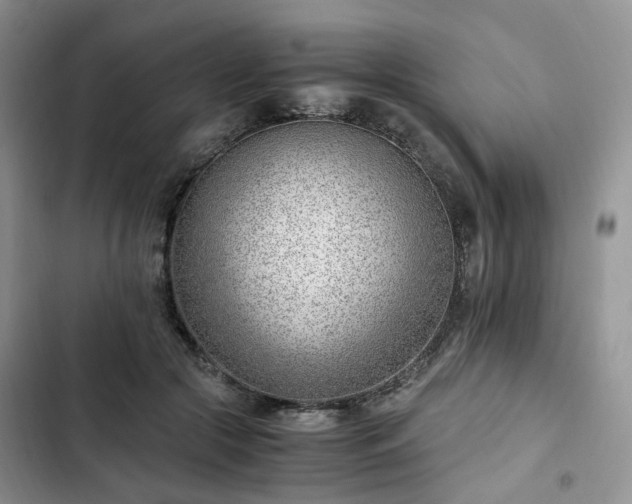 X0000102760553200808251031