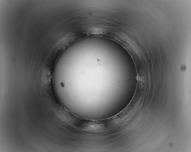 X0000102760555200808251031