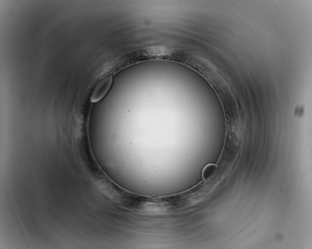 X0000102760556200808251031