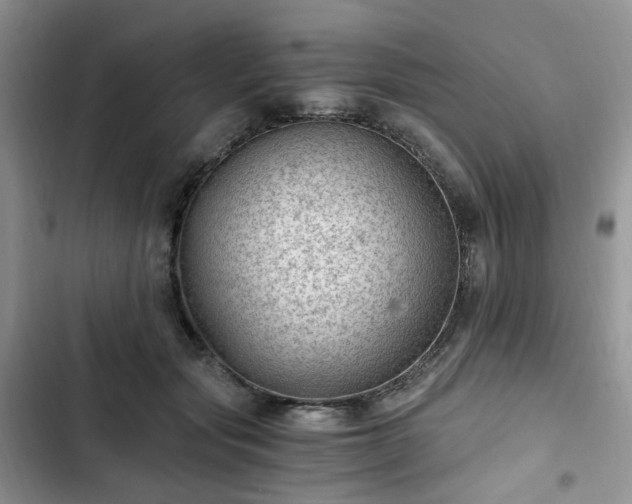 X0000102760557200808251031