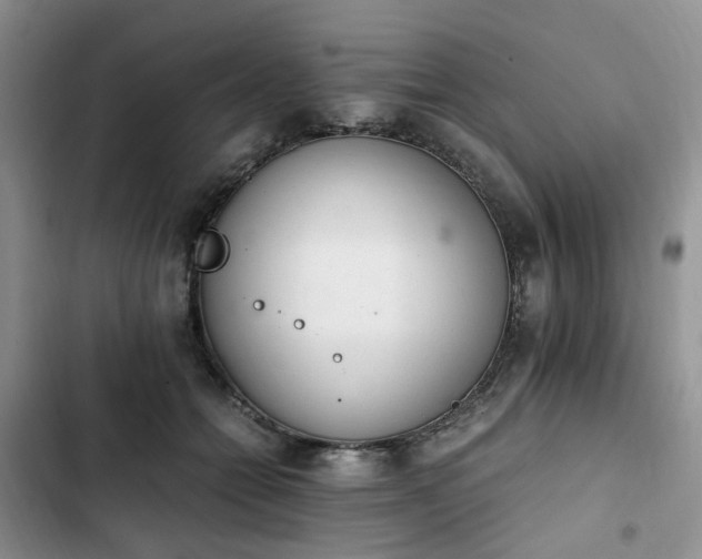 X0000102760558200808251031