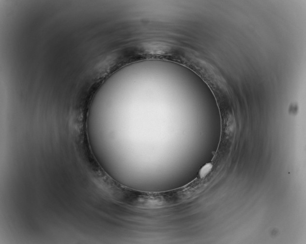 X0000102760559200808251031