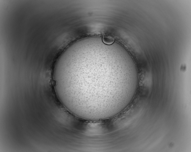 X0000102760560200808251031