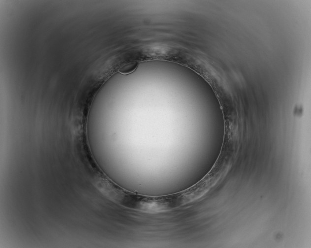 X0000102760561200808251031