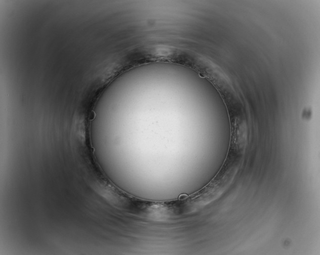 X0000102760562200808251031