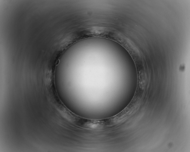 X0000102760563200808251031