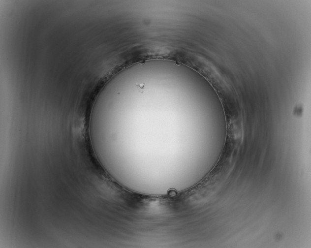 X0000102760564200808251031