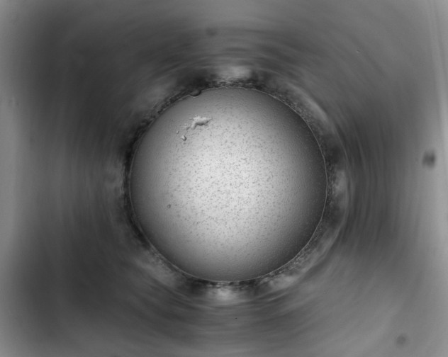 X0000102760565200808251031