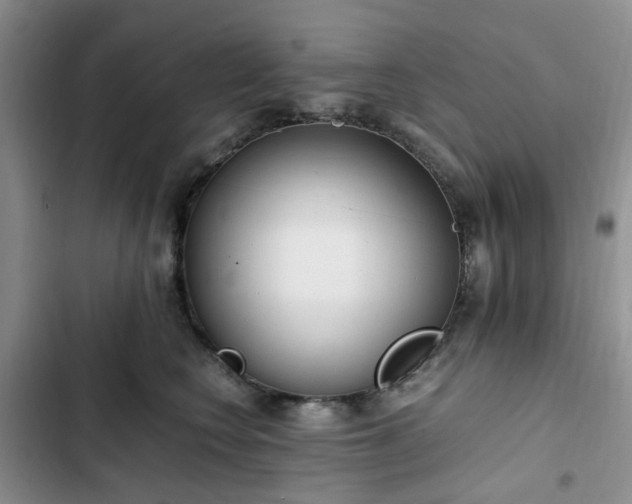 X0000102760566200808251031