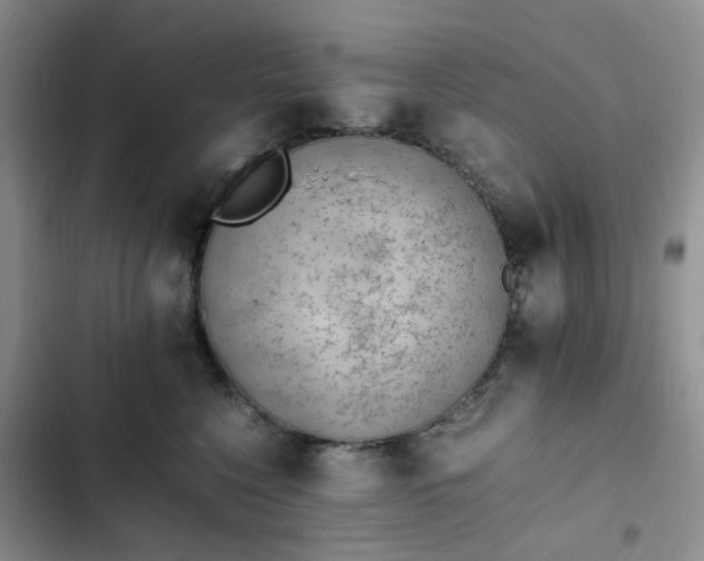 X0000102760568200808251031