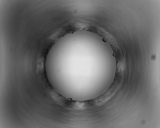 X0000102760570200808251031