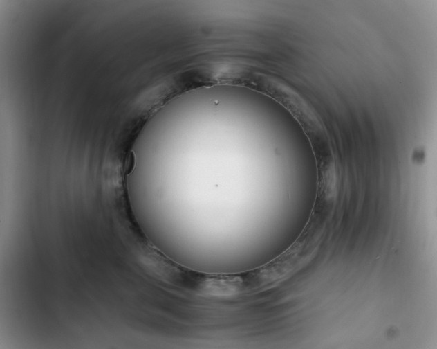 X0000102760571200808251031