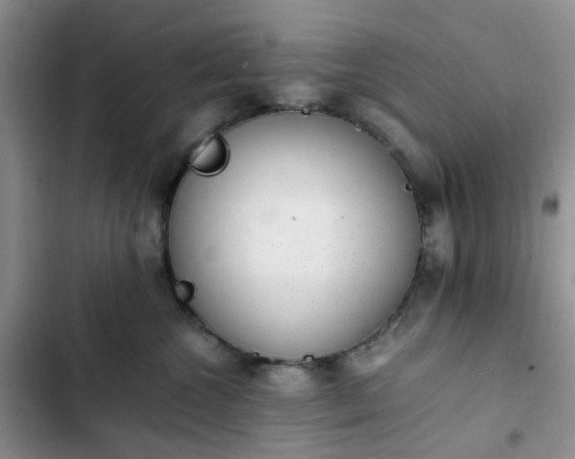 X0000102760572200808251031