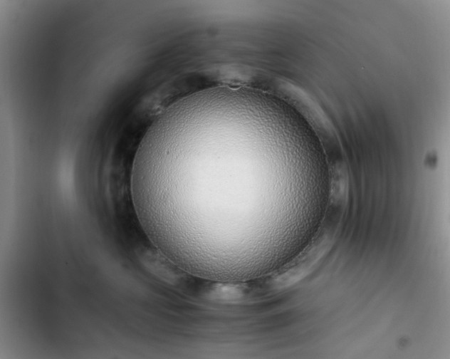 X0000102760573200808251031