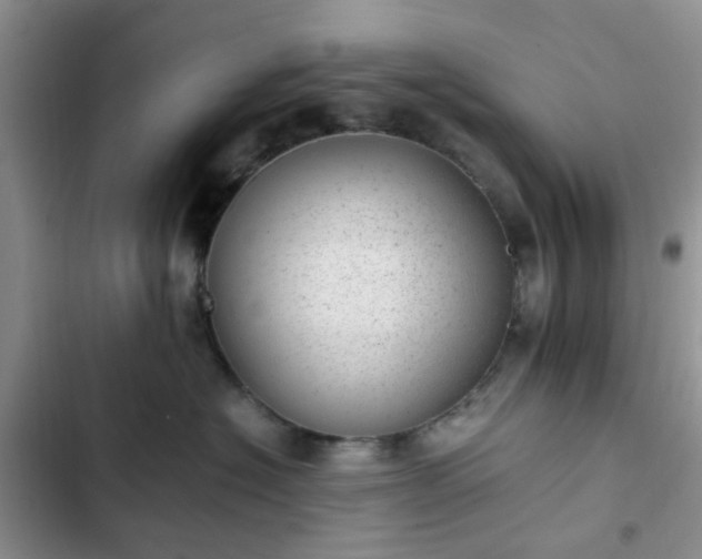 X0000102760574200808251031